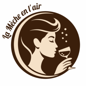 logo meche en lair